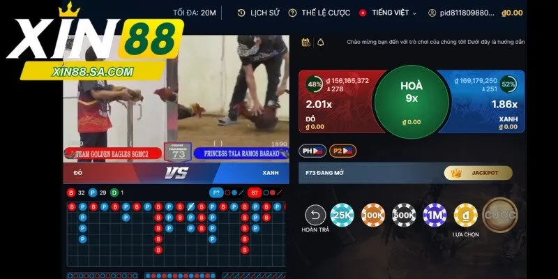 Bí quyết để có chiến thắng lớn khi chơi đá gà tại Xin88