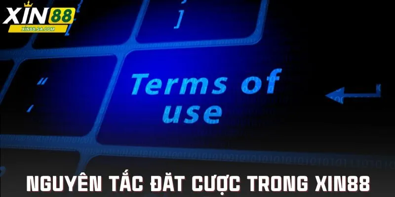 Hiểu rõ nguyên tắc cá cược trong điều khoản và điều kiện Xin88