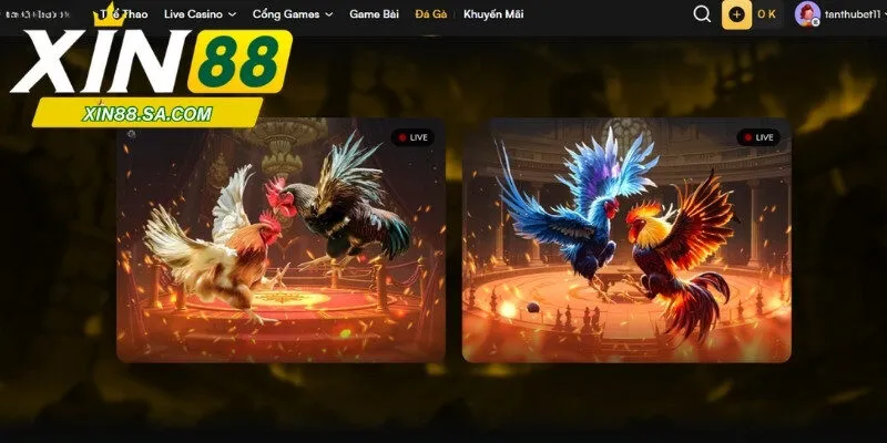 Khái quát chung về sảnh cược đá gà WS168