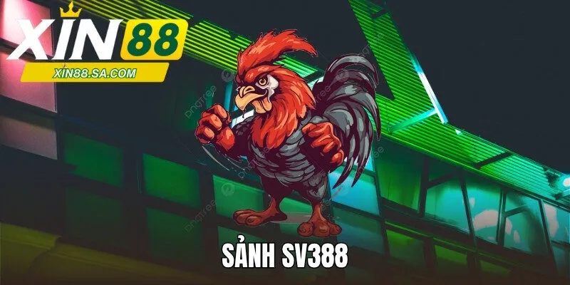 Sảnh SV388 - Nơi Theo Dõi Trận Đấu Chiến Kê Đỉnh Cao